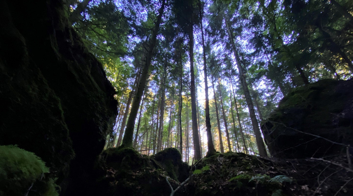 Das Himmelstor vom Chärwald, ein Fremder der da durchgeht ist für immer verloren.